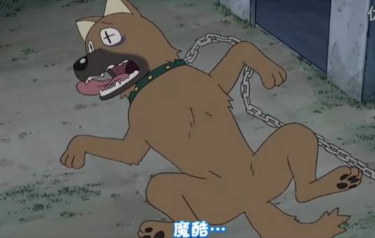 酷哥
