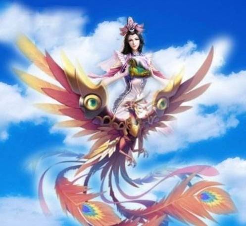 花翎鸟