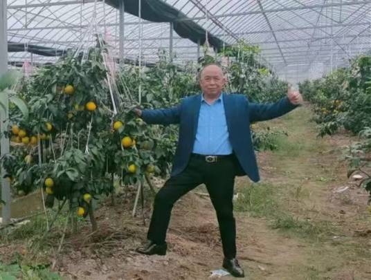 戴震伟