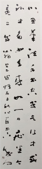 草书·自书诗习书感怀 138x33cm 2016年书